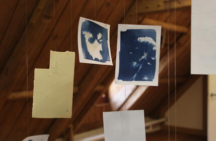 Untitled Untitled